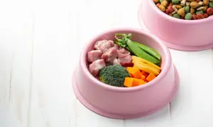 Różowa miska z surowymi warzywami dla psa: brokuły, marchewka, groszek, mięso. Obok miska z karmą.
