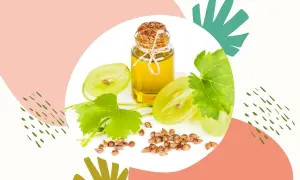 Mała buteleczka oleju z pestek winogron, winogrona i liście. Naturalny olej z pestek winogron dla psa.