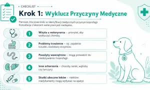 Lista kontrolna: Krok 1 - medyczne przyczyny nietrzymania kału u psa. Wizyta u weterynarza, problemy trawienne, pasożyty, schorzenia i skutki uboczne leków.