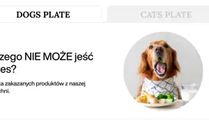 Złoty retriever z otwartym pyskiem, w którym widać zielony groszek. Obok talerz z jedzeniem i szklanka mleka. Dowiedz się, co może jeść pies.