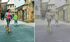 Spacerem po mieście, gdzie pies widzi głównie odcienie żółci i niebieskiego. Dziewczyna z psem na smyczy, chłopiec na rolkach.