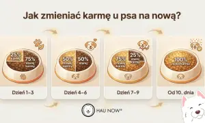 Grafika pokazuje, jak stopniowo wprowadzać nową karmę u psa. Od 25% nowej karmy przez 50% do 100% nowej karmy w ciągu 10 dni.