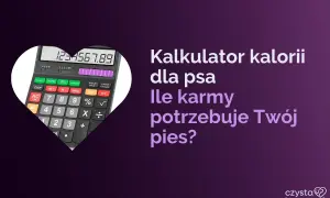 Kalkulator kalorii dla psa pomoże Ci obliczyć, ile suchej karmy dla psa potrzebuje Twój pupil.