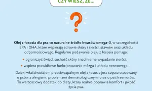 Olej z łososia dla psa to naturalne źródło kwasów omega-3, wspierające skórę, sierść i stawy. Pomaga ograniczyć świąd i wypadanie sierści.