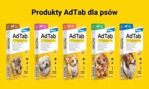 Tabletki na kleszcze dla psa AdTab chronią przed pasożytami. Skutki uboczne są rzadkie, a produkt działa 30 dni.