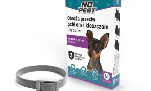 Szara obroża przeciw kleszczom dla psów, rozmiar S (35 cm), zapewnia 3 miesiące skutecznej ochrony.