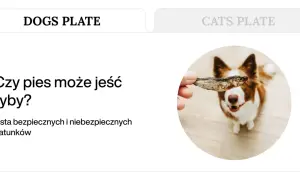 Piesek z radością patrzy na rybę podawaną mu przez rękę. Czy to bezpieczna ryba dla psa?