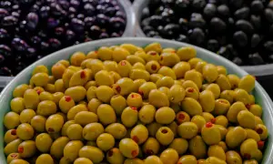 Miski pełne oliwek, zielonych i czarnych. Czy pies może jeść oliwki? Lepiej nie ryzykować, bo mogą być szkodliwe.