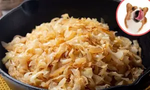 Czy pies może jeść bigos? Na zdjęciu bigos w garnku i piesek z językiem na wierzchu, jakby chciał spróbować.