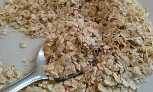 Łyżka płatków owsianych na talerzu. Czy pies może jeść płatki owsiane? Tak, w umiarkowanych ilościach, jako dodatek do diety.