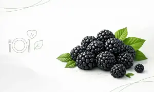 Kusza jeżyn na białym tle. Czy pies może jeść jeżyny? Tak, w małych ilościach są bezpieczne.