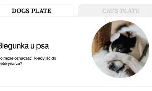 Pies z zieloną biegunką, zasłaniający oczy łapą. Artykuł o przyczynach i leczeniu.