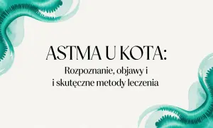 Astma u kota: rozpoznanie, objawy i skuteczne metody leczenia. Dowiedz się, jak pomóc swojemu pupilowi.