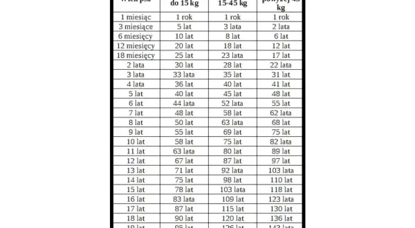 Tabela porównująca wiek psa w latach ludzkich. 5 lat psa to 40 lat dla małych ras, 45 lat dla średnich i 48 lat dla dużych.