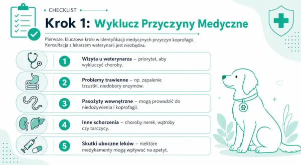 Lista kontrolna: Krok 1 - medyczne przyczyny nietrzymania kału u psa. Wizyta u weterynarza, problemy trawienne, pasożyty, schorzenia i skutki uboczne leków.