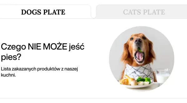 Złoty retriever z otwartym pyskiem, w którym widać zielony groszek. Obok talerz z jedzeniem i szklanka mleka. Dowiedz się, co może jeść pies.
