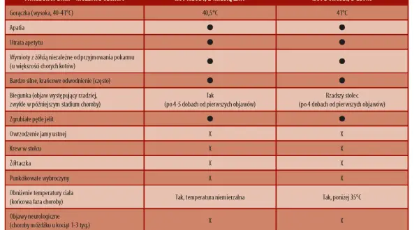 Tabela porównuje objawy panleukopenii u młodego kota i kota dorosłego. Wymienia gorączkę, apatię, wymioty, biegunkę, objawy neurologiczne i inne, wskazując na różnice w przebiegu choroby.