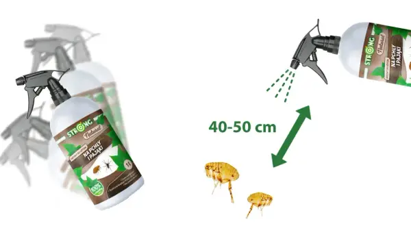 Spray STRONG Natural na pchły i pajaki, skuteczny i naturalny. Zwalcza insekty z odległości 40-50 cm.