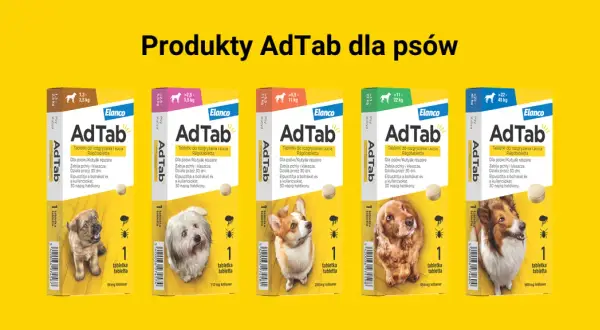 Tabletki na kleszcze dla psa AdTab chronią przed pasożytami. Skutki uboczne są rzadkie, a produkt działa 30 dni.