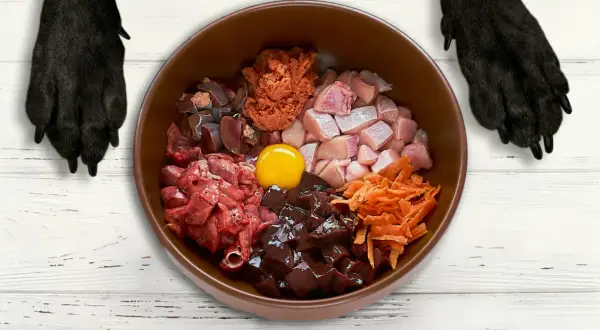 Miski z surowym mięsem, podrobami, jajkiem i marchewką – idealna dieta dla psa z chorymi jelitami.