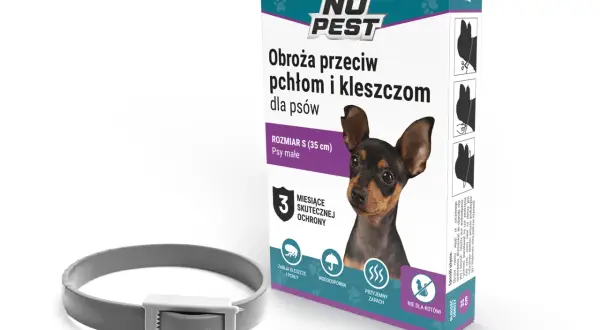 Szara obroża przeciw kleszczom dla psów, rozmiar S (35 cm), zapewnia 3 miesiące skutecznej ochrony.