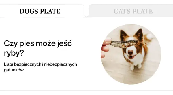 Piesek z radością patrzy na rybę podawaną mu przez rękę. Czy to bezpieczna ryba dla psa?