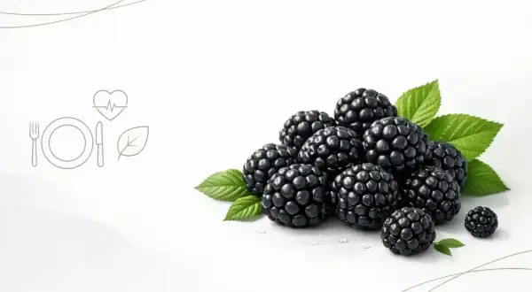 Kusza jeżyn na białym tle. Czy pies może jeść jeżyny? Tak, w małych ilościach są bezpieczne.