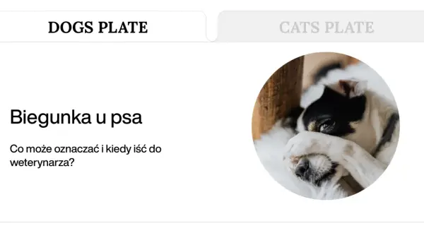 Pies z zieloną biegunką, zasłaniający oczy łapą. Artykuł o przyczynach i leczeniu.