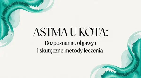 Astma u kota: rozpoznanie, objawy i skuteczne metody leczenia. Dowiedz się, jak pomóc swojemu pupilowi.