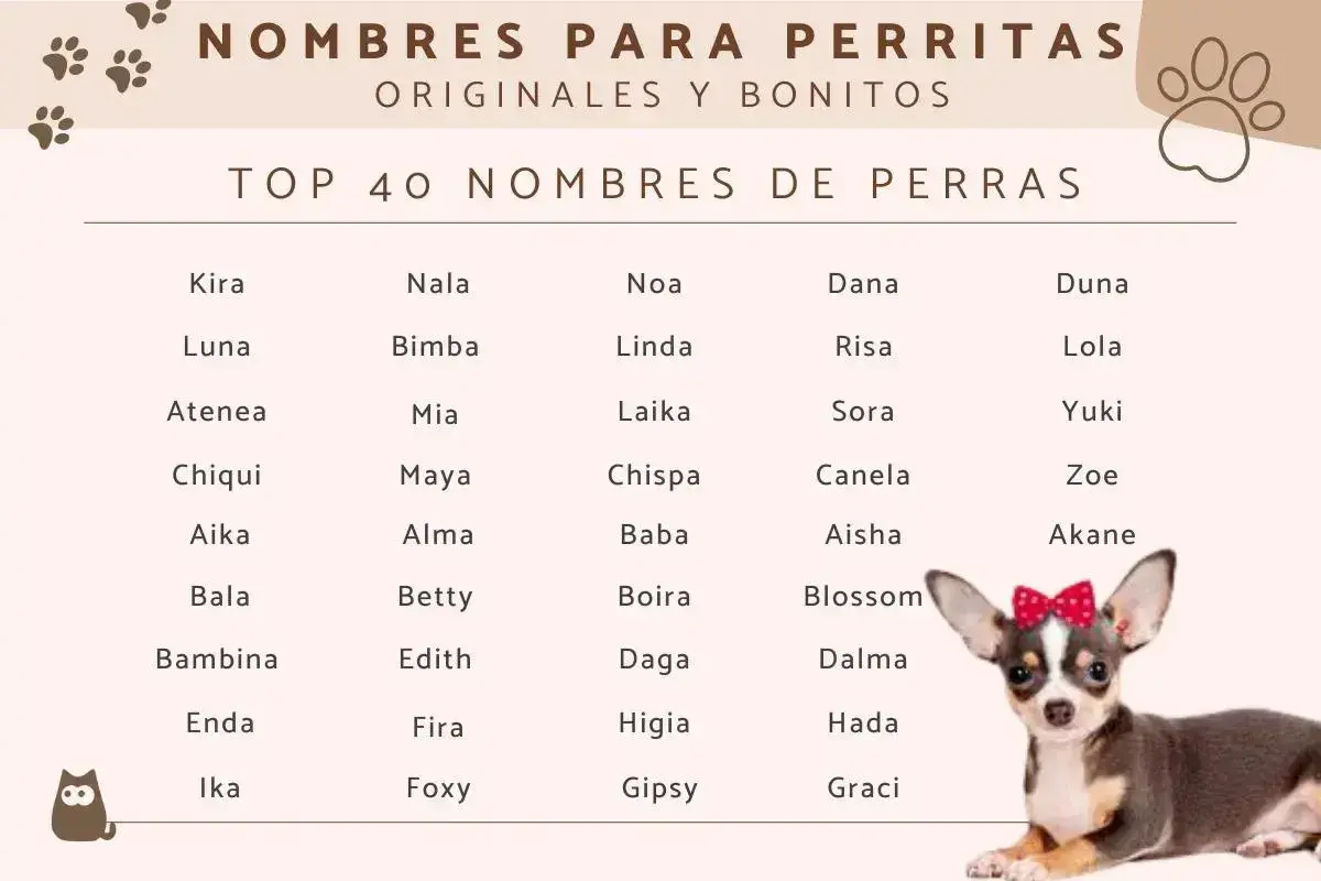 Popularne imiona dla psa: Kira, Luna, Atenea, Chiqui, Aika, Bala, Bambina, Enda, Ika, Nala, Bimba, Mia, Maya, Alma, Betty, Edith, Fira, Foxy, Noa, Linda, Laika, Chispa, Baba, Boira, Daga, Higia, Gipsy, Dana, Risa, Sora, Canela, Aisha, Blossom, Dalma, H...