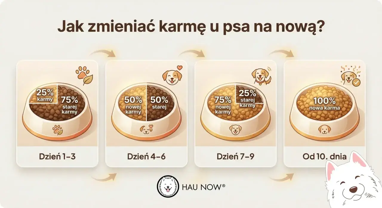 Grafika pokazuje, jak stopniowo wprowadzać nową karmę u psa. Od 25% nowej karmy przez 50% do 100% nowej karmy w ciągu 10 dni.