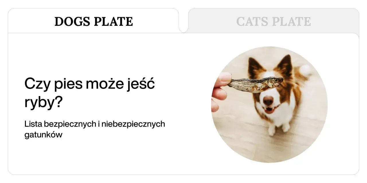Piesek z radością patrzy na rybę podawaną mu przez rękę. Czy to bezpieczna ryba dla psa?