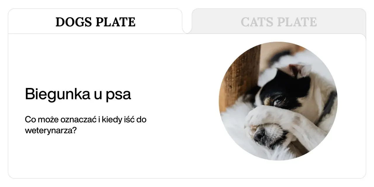 Pies z zieloną biegunką, zasłaniający oczy łapą. Artykuł o przyczynach i leczeniu.