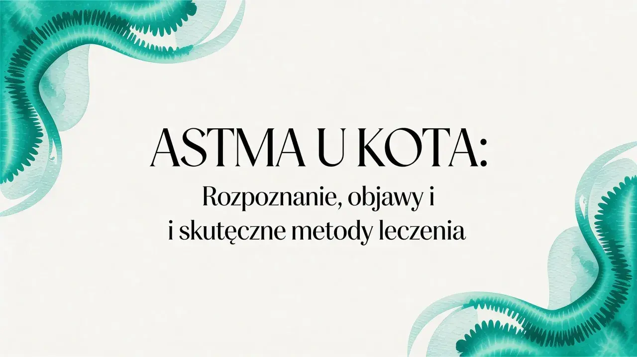 Astma u kota: rozpoznanie, objawy i skuteczne metody leczenia. Dowiedz się, jak pomóc swojemu pupilowi.