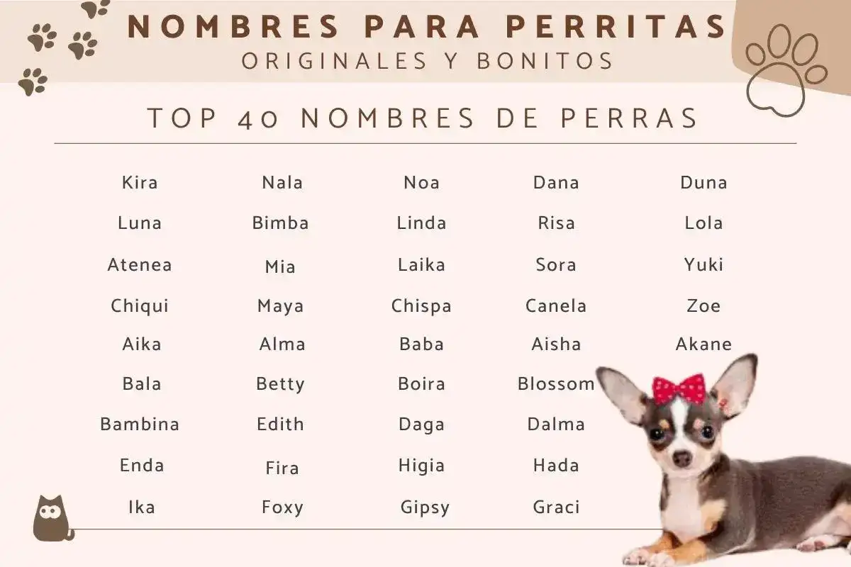 Popularne imiona dla psa: Kira, Luna, Atenea, Chiqui, Aika, Bala, Bambina, Enda, Ika, Nala, Bimba, Mia, Maya, Alma, Betty, Edith, Fira, Foxy, Noa, Linda, Laika, Chispa, Baba, Boira, Daga, Higia, Gipsy, Dana, Risa, Sora, Canela, Aisha, Blossom, Dalma, H...