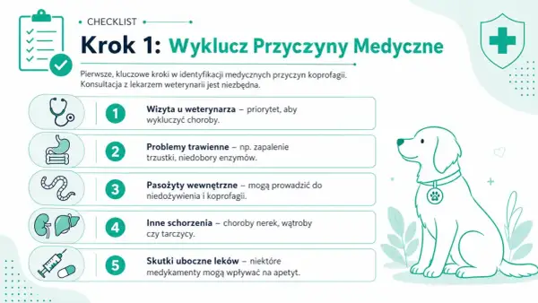 Lista kontrolna: Krok 1 - medyczne przyczyny nietrzymania kału u psa. Wizyta u weterynarza, problemy trawienne, pasożyty, schorzenia i skutki uboczne leków.