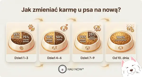 Grafika pokazuje, jak stopniowo wprowadzać nową karmę u psa. Od 25% nowej karmy przez 50% do 100% nowej karmy w ciągu 10 dni.