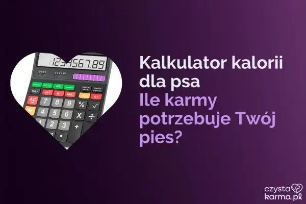 Kalkulator kalorii dla psa pomoże Ci obliczyć, ile suchej karmy dla psa potrzebuje Twój pupil.