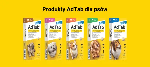 Tabletki na kleszcze dla psa AdTab chronią przed pasożytami. Skutki uboczne są rzadkie, a produkt działa 30 dni.
