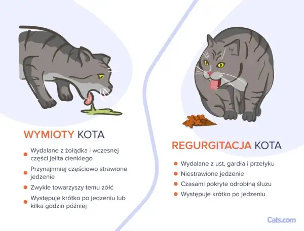 Ilustracja pokazuje dwa koty. Po lewej kot wymiotuje jedzeniem, po prawej kot regurgituje.