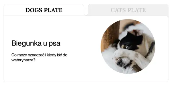 Pies z zieloną biegunką, zasłaniający oczy łapą. Artykuł o przyczynach i leczeniu.