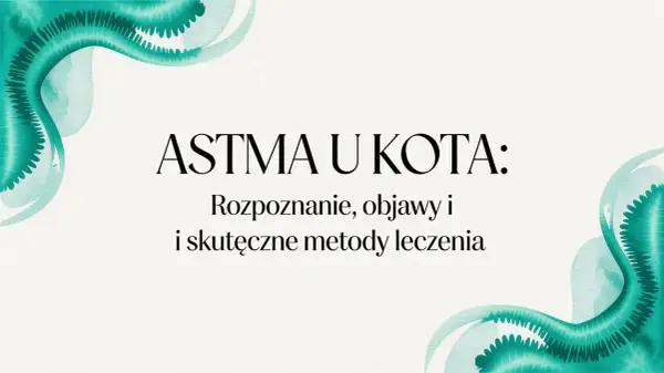 Astma u kota: rozpoznanie, objawy i skuteczne metody leczenia. Dowiedz się, jak pomóc swojemu pupilowi.